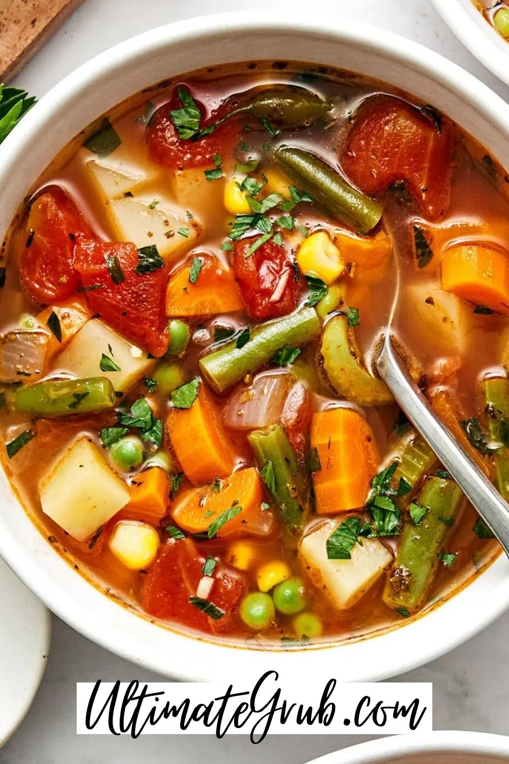 vegetable soup