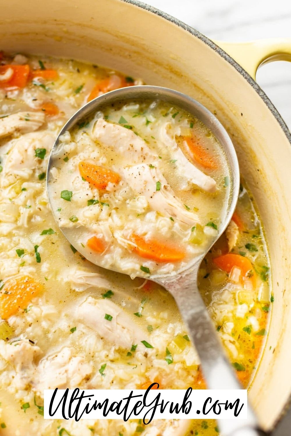 chicken and rice soup
