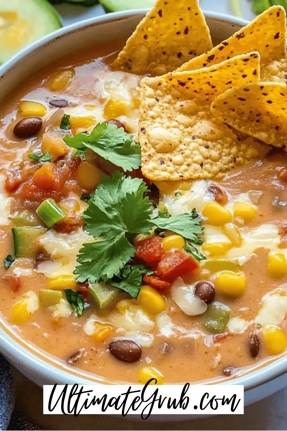 vegetarian tortilla soup