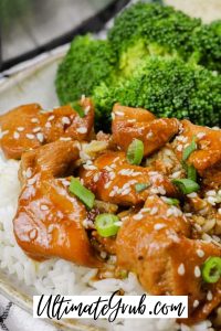 slow cooker honey garlic chicken