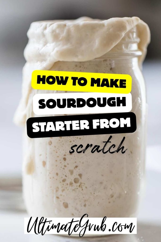 sourdough starter recipe, how to make sourdough starter from scratch