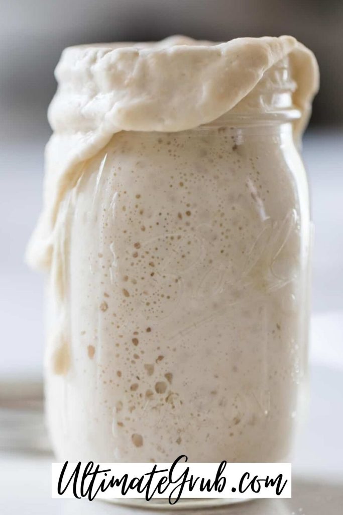 sourdough starter recipe, how to make sourdough starter from scratch